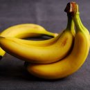 다이나믹짐 이미지