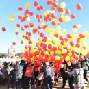 제15회 청송사과축제 이미지