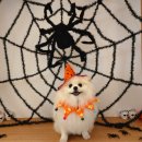 바우스쿨 이미지