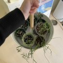 양재뿌리약국 이미지