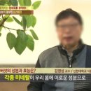 벧엘한약초