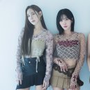 제스 스포츠경향