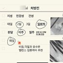 유키니언10호대구 - 56968 | 유키니언10호대구