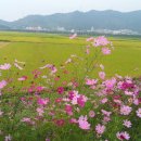 오늘같이좋은날 - 원주시 | 오늘같이좋은날