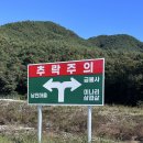 고성월계밭미나리