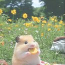 (유)너울에너지 | 어제는 지났고, 내일은 멀었고, 오늘은 아직 모른다★풍류도 리더쉽 합숙후기★