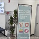 아이폰 후면액정 수리 남양주금곡원아이폰 수리 정직한곳 남양주아이폰수리 이서통신