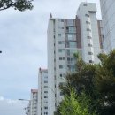 부영5차경로당 | 제주 초품아 아파트 임장 기록과 부동산 분위기(연동신시가지, 뜨란채)