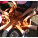 도룡마을 이미지