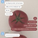 동해물약국 | 푸켓 연수 낋여옴