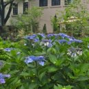 롱비치패밀리호텔 이미지