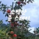 소백산 준 스테이 이미지