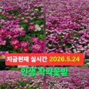 와야2리 경로당 네이버블로그