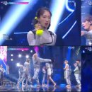 k타이거즈 이미지