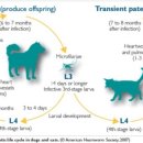 W 인천심장동물병원 이미지