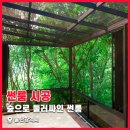 숲으로 | 자연을 더 가까이! 울산광역시 숲으로 둘러싸인 썬룸 시공 후기