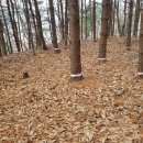 산속장어 이미지