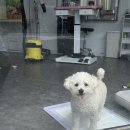 이뻐지는산책 이미지