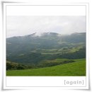 삼양농장 이미지