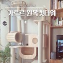 캣 | 고양이 원목캣타워 가르르 갤럭시 캣타워 실사용 후기