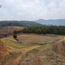 평림초등학교 이미지