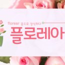 센스플라워 이미지