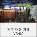 벤60 | 양주 대형 카페 벤60 방문 후기