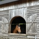 우진목장 이미지