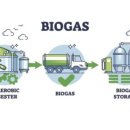 홍조바다 이미지