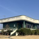 제주미식회 | 제주 송당 카페 풍림다방 수요미식회 블루리본 맛집 감성 카페 방문후기