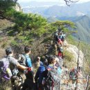 금강(부산) 이미지