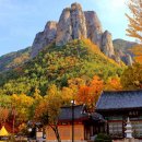 주왕산맛집펜션 이미지