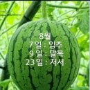 8/4일의 걷기...서울에도 비가왔어요,약올리는지 20초간. 이미지
