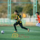 홍천읍생활체육공원 이미지