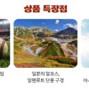 야구루트