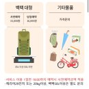 혼자 떠난 여름의 제주 (1)