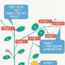 배순농장 티스토리