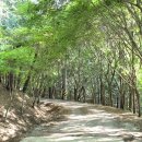 진주황포냉면 이미지