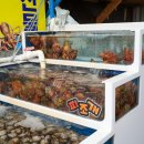 중앙회수산 | 홍성 축제 즐기기, 홍성 새조개축제·홍성남당항 맛집 중앙회수산 후기