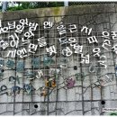 무지개종합문구