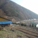 평창강가에서 이미지