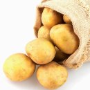 빅스짐 율하2지구점 이미지