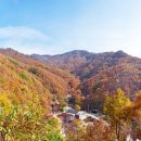 민주지산 자연휴양림