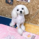 38점5도씨 이미지