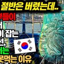 한국어부들이 세계에서 가장 많이 잡는 물고기, 일본에서는 없어서 못먹는 이유 이미지