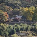 활성동 밀양시국궁장 이미지