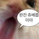 원동식품