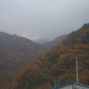 연화신방