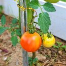 자연과함께(주) 이미지