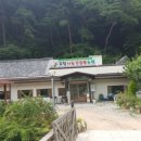 효창농장 Daum카페